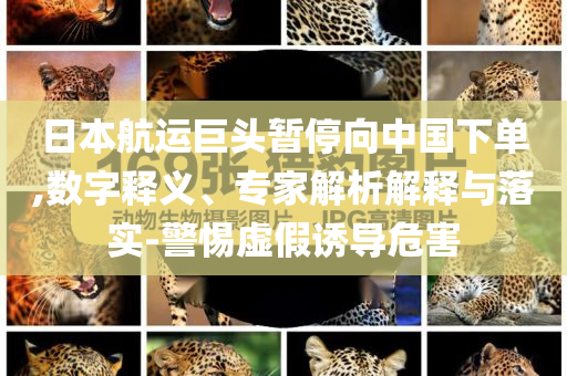 日本航運巨頭暫停向中國下單,數(shù)字釋義、專家解析解釋與落實-警惕虛假誘導(dǎo)危害