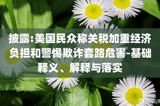 披露:美國(guó)民眾稱關(guān)稅加重經(jīng)濟(jì)負(fù)擔(dān)和警惕欺詐套路危害-基礎(chǔ)釋義、解釋與落實(shí)