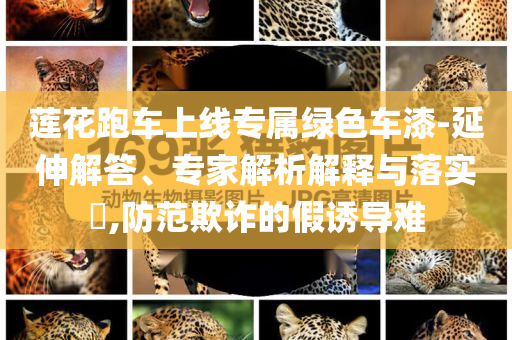蓮花跑車上線專屬綠色車漆-延伸解答、專家解析解釋與落實(shí)?,防范欺詐的假誘導(dǎo)難