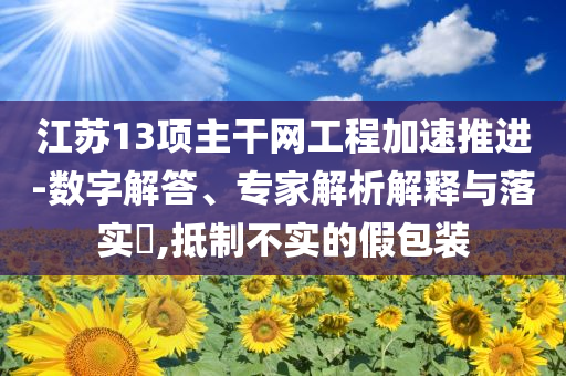 江蘇13項(xiàng)主干網(wǎng)工程加速推進(jìn)-數(shù)字解答、專(zhuān)家解析解釋與落實(shí)?,抵制不實(shí)的假包裝
