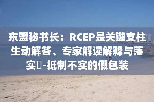 東盟秘書長：RCEP是關鍵支柱生動解答、專家解讀解釋與落實?-抵制不實的假包裝