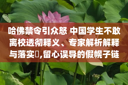 哈佛禁令引眾怒 中國(guó)學(xué)生不敢離校透徹釋義、專家解析解釋與落實(shí)?,留心誤導(dǎo)的假幌子鏈