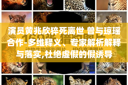 演員黃兆欣猝死離世 曾與瓊瑤合作-多維釋義、專家解析解釋與落實,杜絕虛假的假誘導