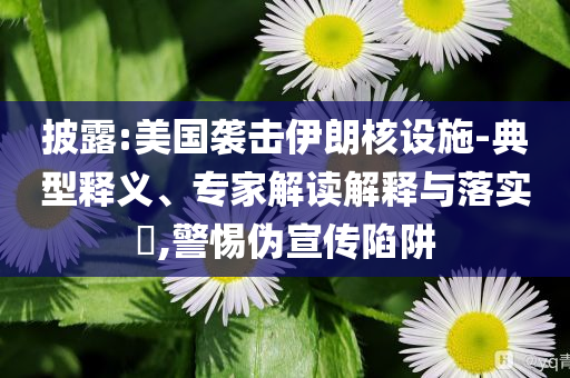 披露:美國(guó)襲擊伊朗核設(shè)施-典型釋義、專家解讀解釋與落實(shí)?,警惕偽宣傳陷阱