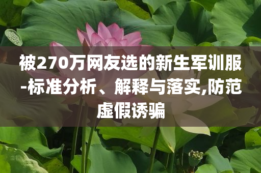 被270萬網(wǎng)友選的新生軍訓(xùn)服-標(biāo)準(zhǔn)分析、解釋與落實(shí),防范虛假誘騙