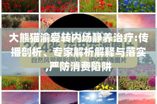 大熊貓渝愛轉內(nèi)場靜養(yǎng)治療:傳播剖析、專家解析解釋與落實,嚴防消費陷阱