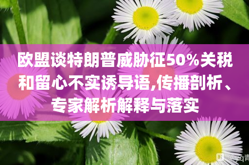 歐盟談特朗普威脅征50%關(guān)稅和留心不實(shí)誘導(dǎo)語,傳播剖析、專家解析解釋與落實(shí)