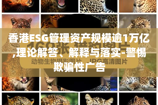 香港ESG管理資產(chǎn)規(guī)模逾1萬億,理論解答、解釋與落實-警惕欺騙性廣告