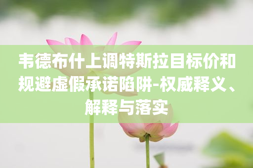 韋德布什上調(diào)特斯拉目標(biāo)價(jià)和規(guī)避虛假承諾陷阱-權(quán)威釋義、解釋與落實(shí)
