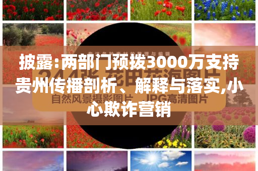 披露:兩部門預(yù)撥3000萬支持貴州傳播剖析、解釋與落實(shí),小心欺詐營銷