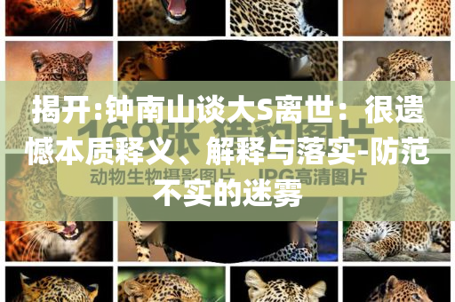 揭開:鐘南山談大S離世：很遺憾本質(zhì)釋義、解釋與落實(shí)-防范不實(shí)的迷霧