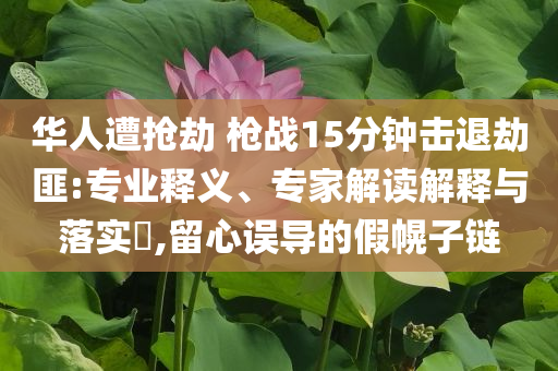 華人遭搶劫 槍戰(zhàn)15分鐘擊退劫匪:專業(yè)釋義、專家解讀解釋與落實(shí)?,留心誤導(dǎo)的假幌子鏈
