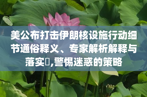 美公布打擊伊朗核設(shè)施行動(dòng)細(xì)節(jié)通俗釋義、專家解析解釋與落實(shí)?,警惕迷惑的策略