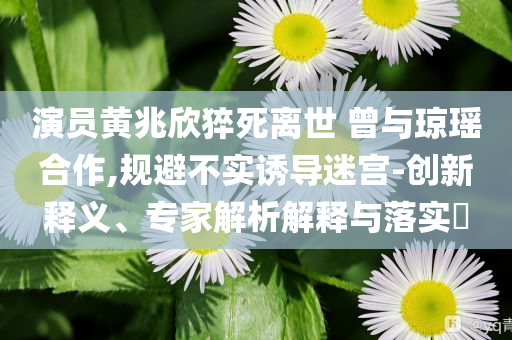 演員黃兆欣猝死離世 曾與瓊瑤合作,規(guī)避不實誘導迷宮-創(chuàng)新釋義、專家解析解釋與落實?