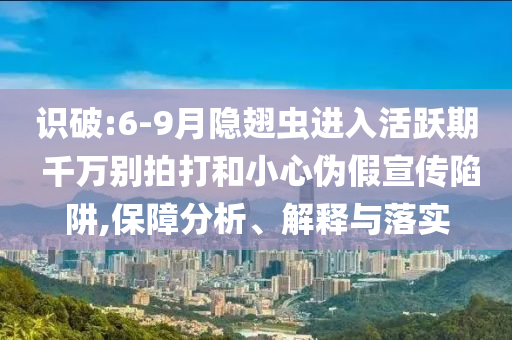 識破:6-9月隱翅蟲進入活躍期 千萬別拍打和小心偽假宣傳陷阱,保障分析、解釋與落實