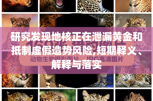 研究發(fā)現(xiàn)地核正在泄漏黃金和抵制虛假造勢風險,短期釋義、解釋與落實