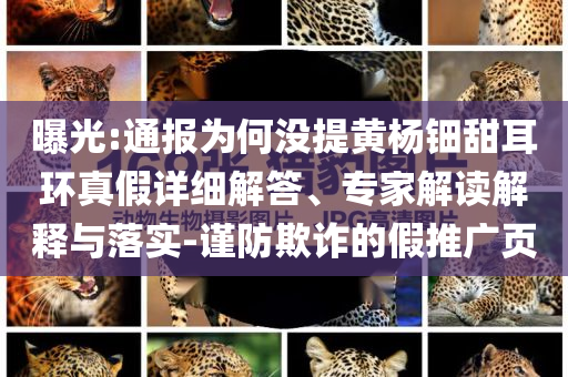 曝光:通報(bào)為何沒提黃楊鈿甜耳環(huán)真假詳細(xì)解答、專家解讀解釋與落實(shí)-謹(jǐn)防欺詐的假推廣頁