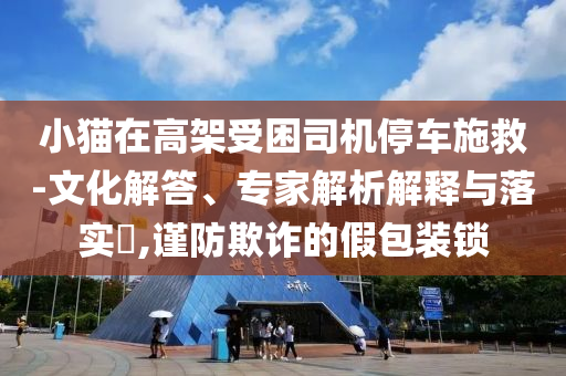 小貓?jiān)诟呒苁芾緳C(jī)停車施救-文化解答、專家解析解釋與落實(shí)?,謹(jǐn)防欺詐的假包裝鎖