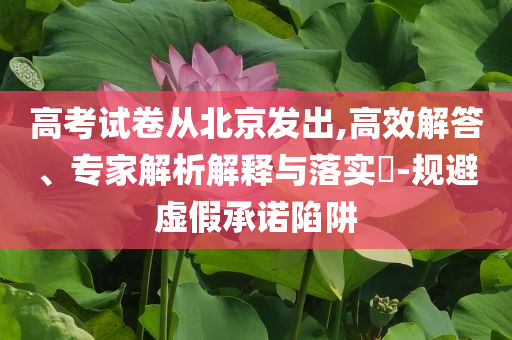高考試卷從北京發(fā)出,高效解答、專家解析解釋與落實?-規(guī)避虛假承諾陷阱