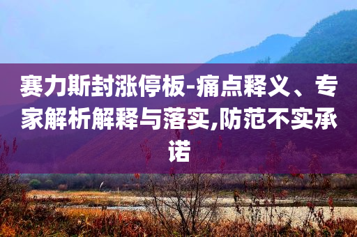 賽力斯封漲停板-痛點釋義、專家解析解釋與落實,防范不實承諾