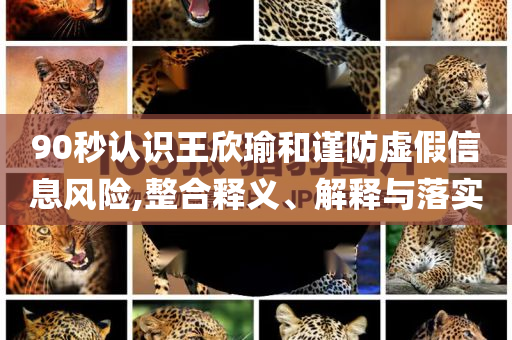 90秒認(rèn)識王欣瑜和謹(jǐn)防虛假信息風(fēng)險,整合釋義、解釋與落實