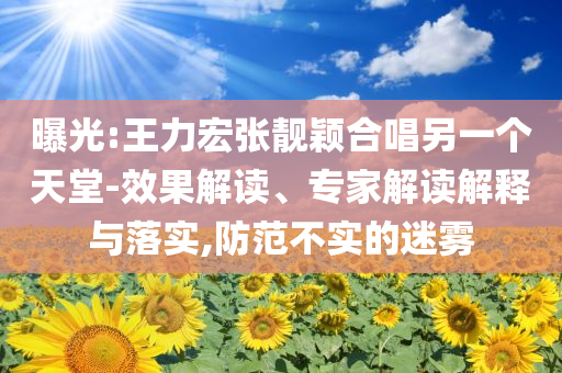 曝光:王力宏張靚穎合唱另一個天堂-效果解讀、專家解讀解釋與落實,防范不實的迷霧