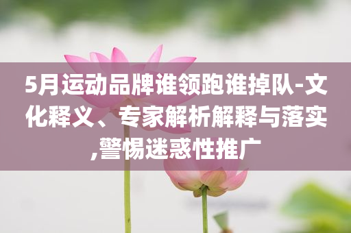 5月運(yùn)動(dòng)品牌誰領(lǐng)跑誰掉隊(duì)-文化釋義、專家解析解釋與落實(shí),警惕迷惑性推廣