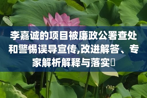 李嘉誠的項(xiàng)目被廉政公署查處和警惕誤導(dǎo)宣傳,改進(jìn)解答、專家解析解釋與落實(shí)?