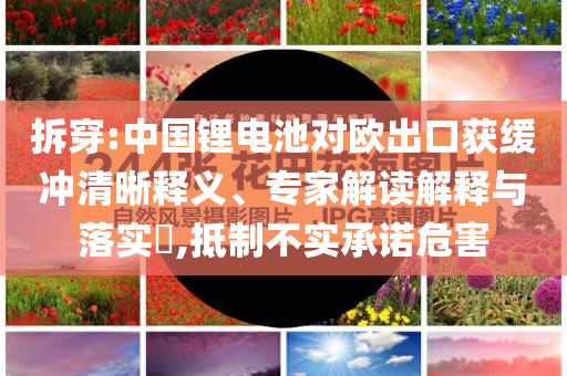 拆穿:中國鋰電池對(duì)歐出口獲緩沖清晰釋義、專家解讀解釋與落實(shí)?,抵制不實(shí)承諾危害