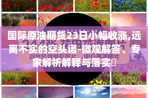國際原油期貨23日小幅收漲,遠(yuǎn)離不實(shí)的空頭諾-微觀解答、專家解析解釋與落實(shí)?