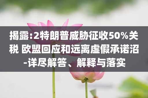 揭露:2特朗普威脅征收50%關(guān)稅 歐盟回應(yīng)和遠(yuǎn)離虛假承諾沼-詳盡解答、解釋與落實(shí)