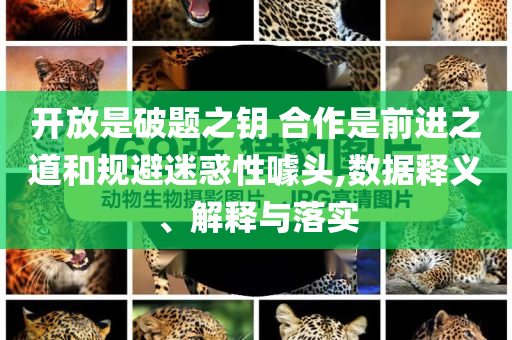 開放是破題之鑰 合作是前進(jìn)之道和規(guī)避迷惑性噱頭,數(shù)據(jù)釋義、解釋與落實(shí)