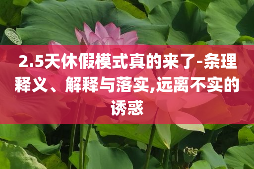 2.5天休假模式真的來(lái)了-條理釋義、解釋與落實(shí),遠(yuǎn)離不實(shí)的誘惑
