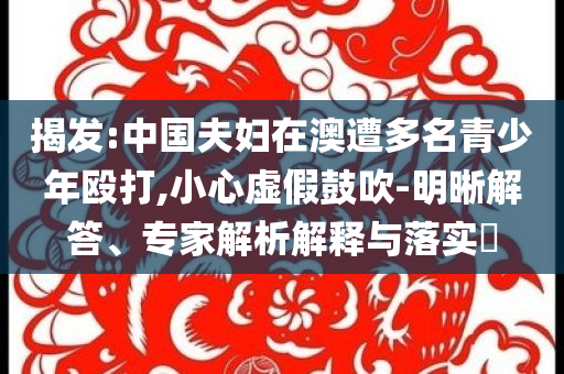 揭發(fā):中國(guó)夫婦在澳遭多名青少年毆打,小心虛假鼓吹-明晰解答、專(zhuān)家解析解釋與落實(shí)?