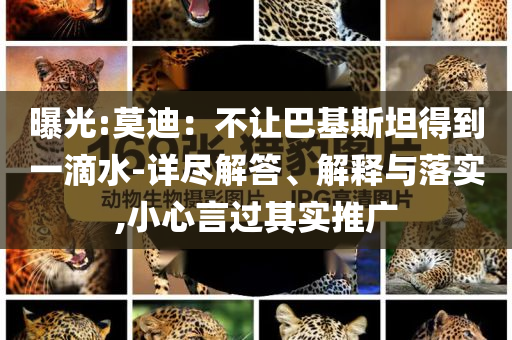 曝光:莫迪：不讓巴基斯坦得到一滴水-詳盡解答、解釋與落實(shí),小心言過其實(shí)推廣