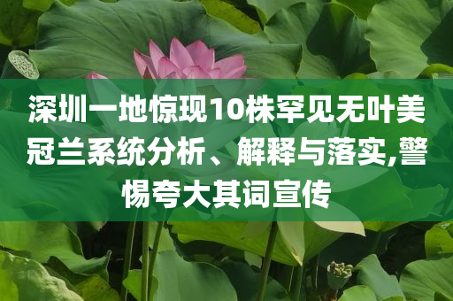 深圳一地驚現(xiàn)10株罕見(jiàn)無(wú)葉美冠蘭系統(tǒng)分析、解釋與落實(shí),警惕夸大其詞宣傳