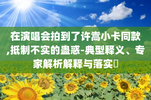 在演唱會拍到了許嵩小卡同款,抵制不實的蠱惑-典型釋義、專家解析解釋與落實?
