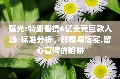 曝光:特朗普攜6億美元巨款入場-標(biāo)準(zhǔn)分析、解釋與落實,留心宣傳的陷阱