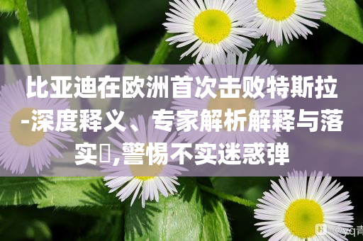 比亞迪在歐洲首次擊敗特斯拉-深度釋義、專家解析解釋與落實(shí)?,警惕不實(shí)迷惑彈