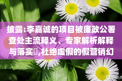 披露:李嘉誠的項目被廉政公署查處主流釋義、專家解析解釋與落實?,杜絕虛假的假營銷幻