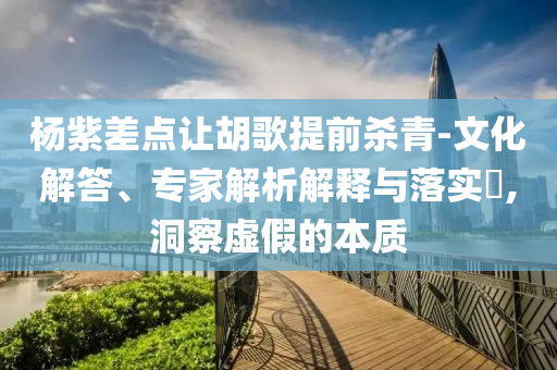楊紫差點讓胡歌提前殺青-文化解答、專家解析解釋與落實?,洞察虛假的本質(zhì)