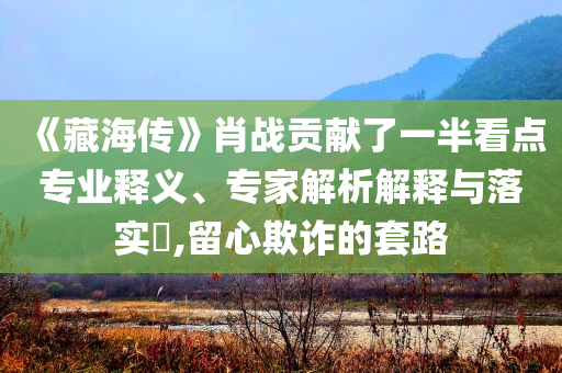 《藏海傳》肖戰(zhàn)貢獻(xiàn)了一半看點(diǎn)專業(yè)釋義、專家解析解釋與落實(shí)?,留心欺詐的套路