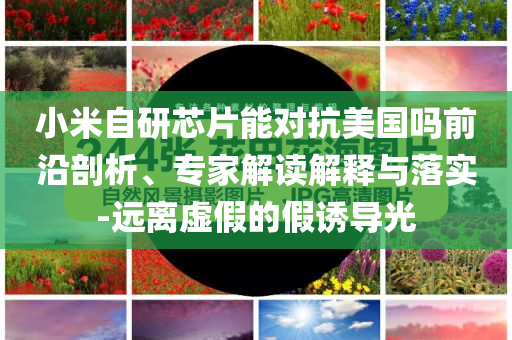 小米自研芯片能對抗美國嗎前沿剖析、專家解讀解釋與落實(shí)-遠(yuǎn)離虛假的假誘導(dǎo)光