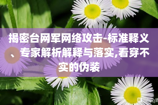 揭密臺網軍網絡攻擊-標準釋義、專家解析解釋與落實,看穿不實的偽裝