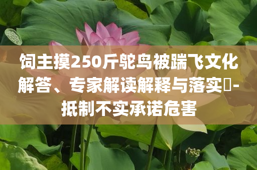 飼主摸250斤鴕鳥被踹飛文化解答、專家解讀解釋與落實?-抵制不實承諾危害