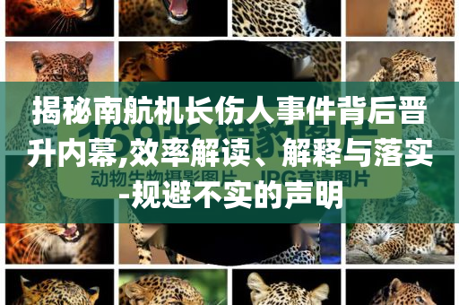 揭秘南航機(jī)長傷人事件背后晉升內(nèi)幕,效率解讀、解釋與落實-規(guī)避不實的聲明