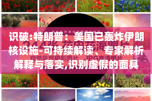 識破:特朗普：美國已轟炸伊朗核設施-可持續(xù)解讀、專家解析解釋與落實,識別虛假的面具