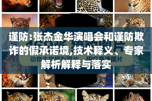 謹(jǐn)防:張杰金華演唱會(huì)和謹(jǐn)防欺詐的假承諾境,技術(shù)釋義、專家解析解釋與落實(shí)