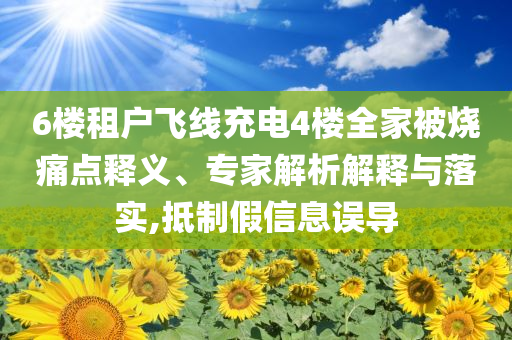 6樓租戶飛線充電4樓全家被燒痛點(diǎn)釋義、專家解析解釋與落實(shí),抵制假信息誤導(dǎo)