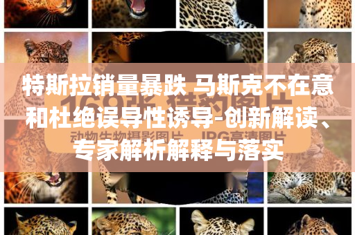 特斯拉銷(xiāo)量暴跌 馬斯克不在意和杜絕誤導(dǎo)性誘導(dǎo)-創(chuàng)新解讀、專家解析解釋與落實(shí)
